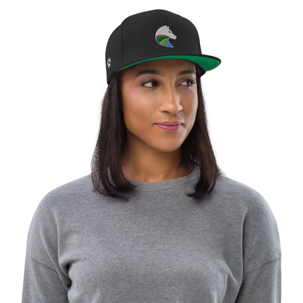 2020 OG Snapback - Image 4