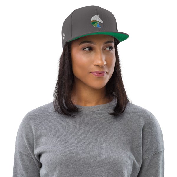 2020 OG Snapback - Image 22